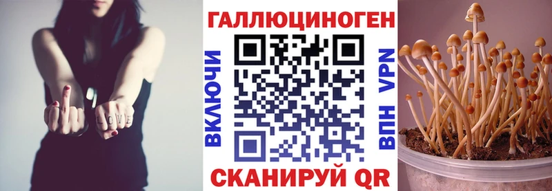 Псилоцибиновые грибы мухоморы Грозный